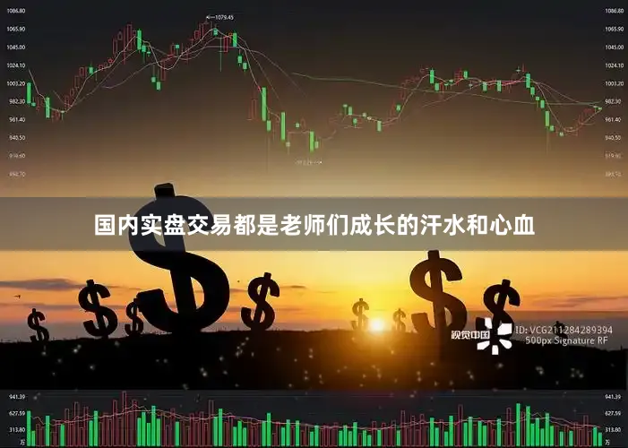 国内实盘交易都是老师们成长的汗水和心血