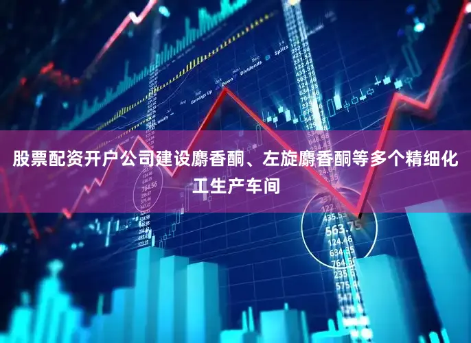 股票配资开户公司建设麝香酮、左旋麝香酮等多个精细化工生产车间