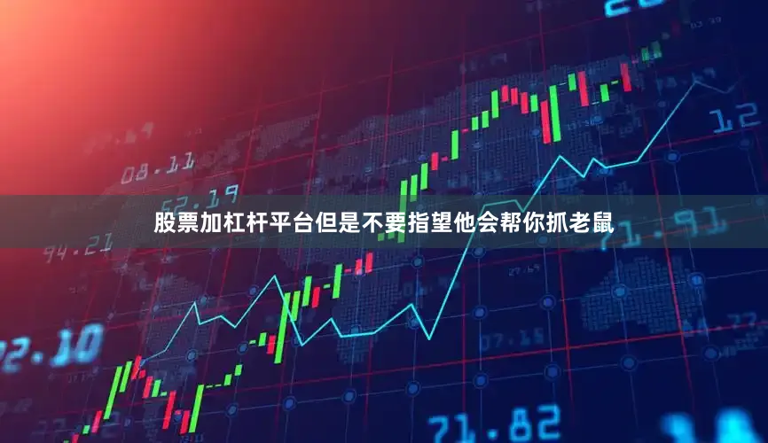 股票加杠杆平台但是不要指望他会帮你抓老鼠