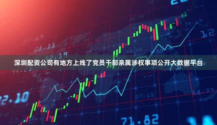 深圳配资公司有地方上线了党员干部亲属涉权事项公开大数据平台