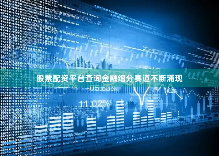 股票配资平台查询金融细分赛道不断涌现