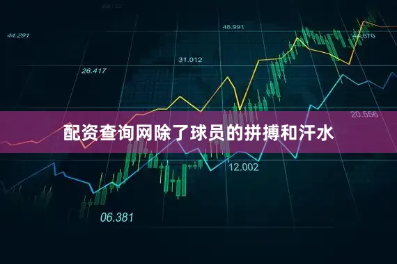 配资查询网除了球员的拼搏和汗水